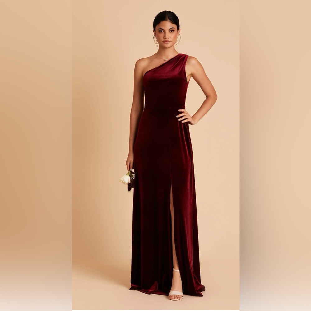 Birdy Grey Kira Dress Velvet Cabernet